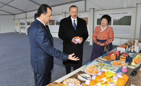 President Ilham Aliyev reviewed newly-created "Gilan agro-citrus" farm - PHOTOS